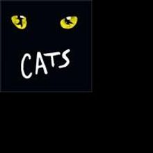 El Dorado Musical Theatre Holds Auditions For CATS